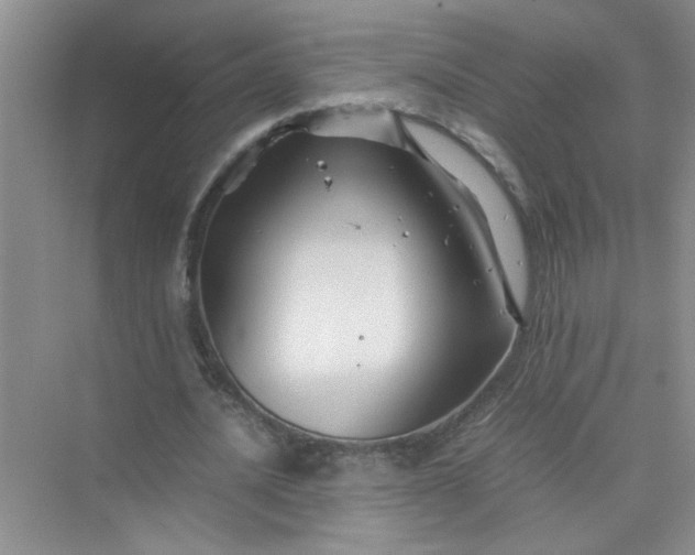 X0000075920628200609291825