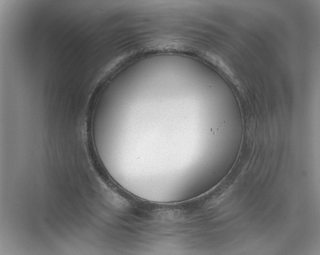 X0000075920629200609291825