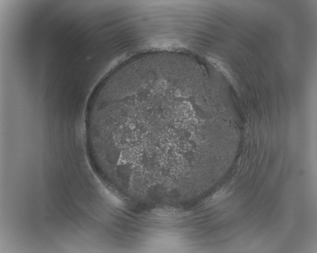 X0000075920630200609291825