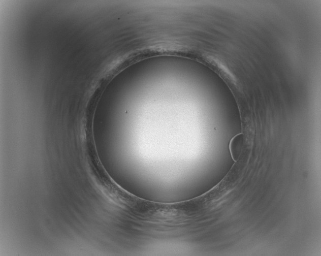 X0000075920631200609291825