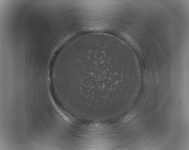 X0000075920634200609291825