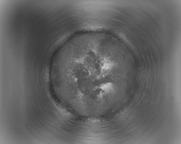 X0000075920640200609291825