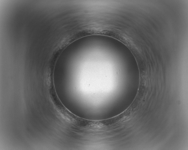 X0000075920642200609291825