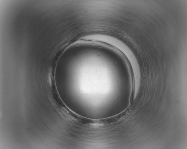 X0000075920644200609291825