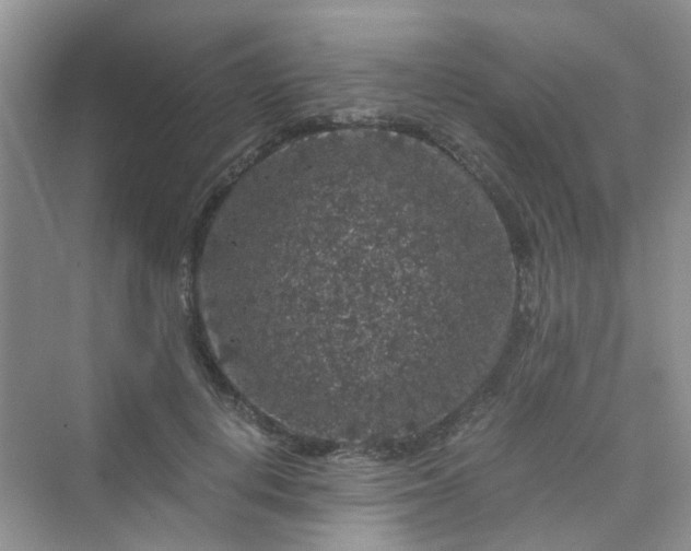 X0000075920648200609291825