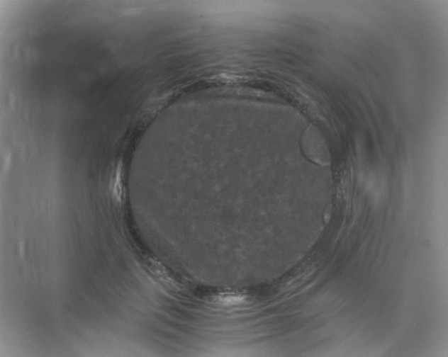 X0000075920651200609291826