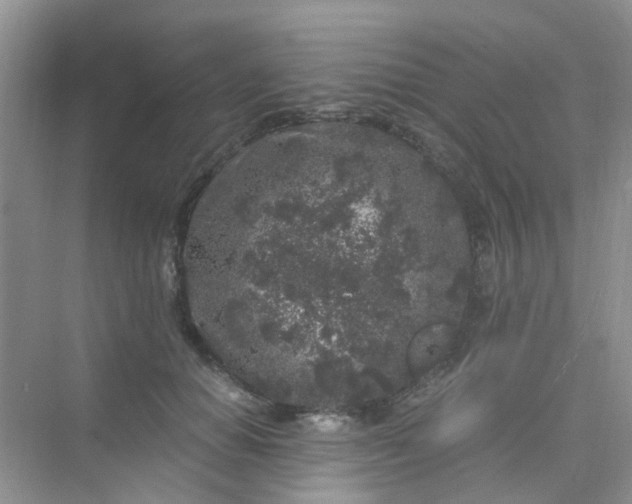 X0000075920654200609291826