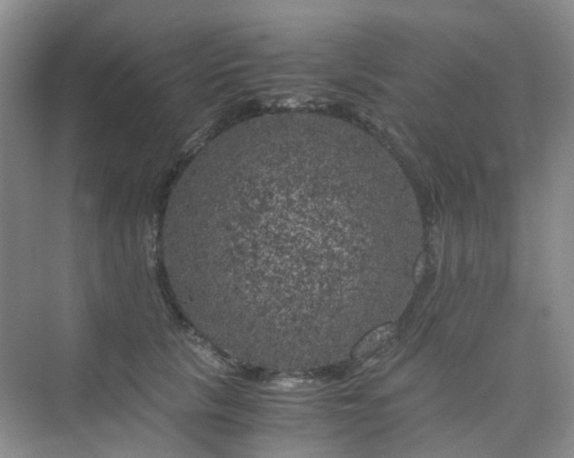 X0000075920657200609291826