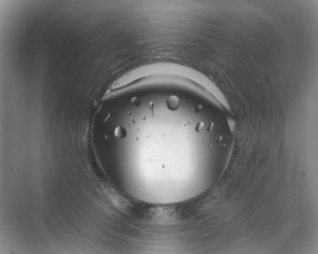 X0000075920660200609291826