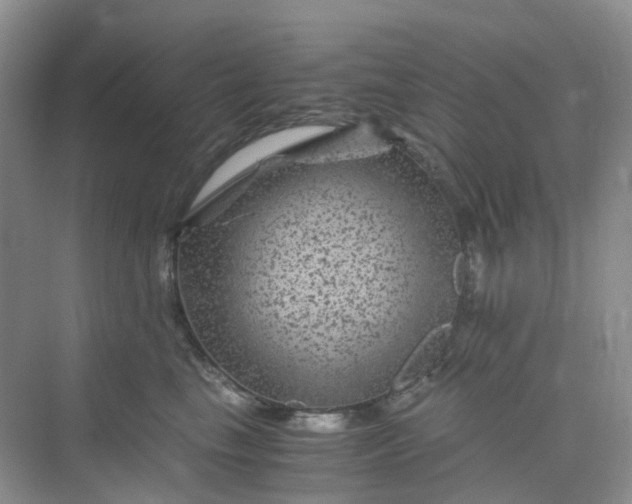 X0000075920665200609291826