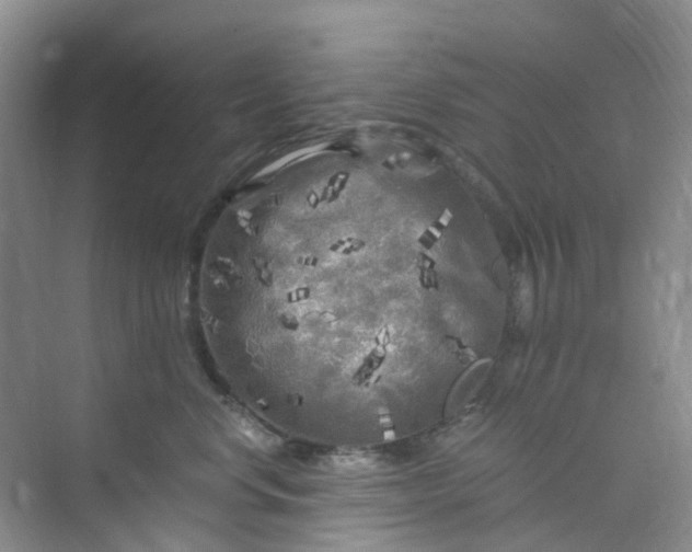 X0000075920668200609291826