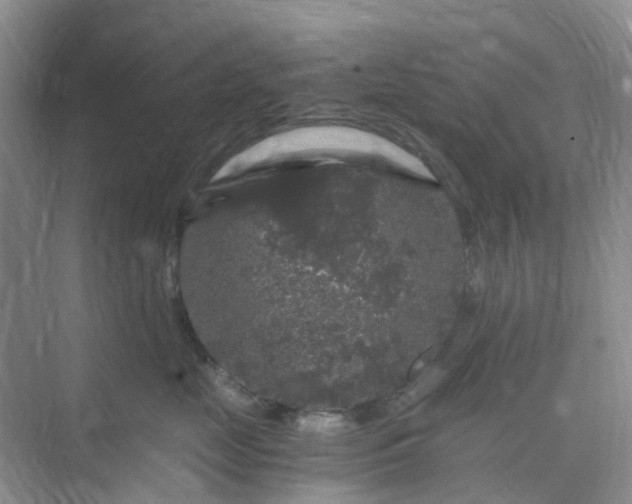 X0000075920669200609291826