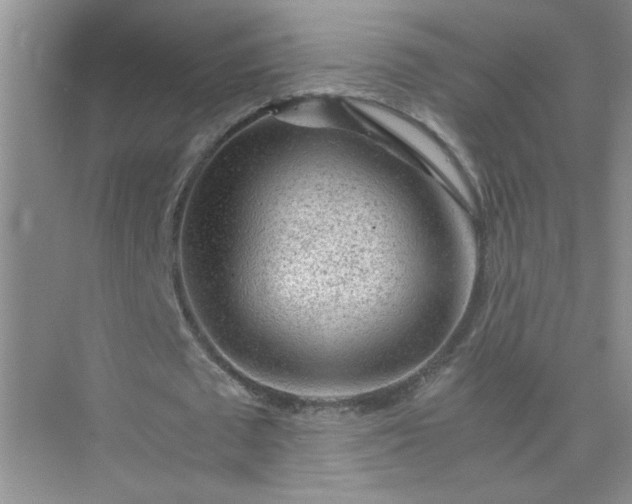 X0000075920673200609291825