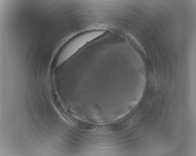 X0000075920674200609291825