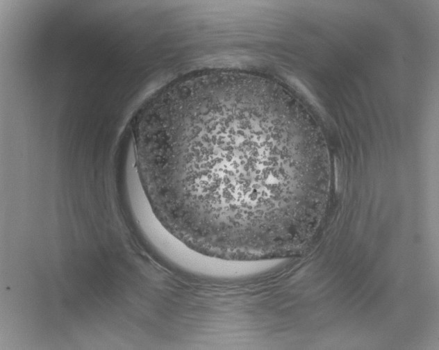 X0000075920675200609291825