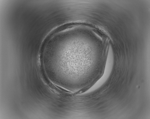 X0000075920676200609291825