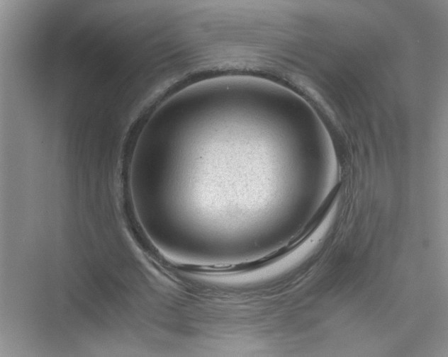 X0000075920677200609291825