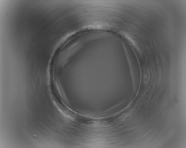 X0000075920678200609291825