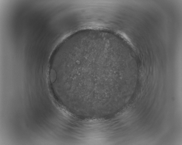 X0000075920679200609291825