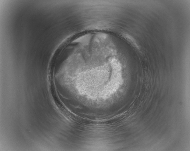 X0000075920680200609291825