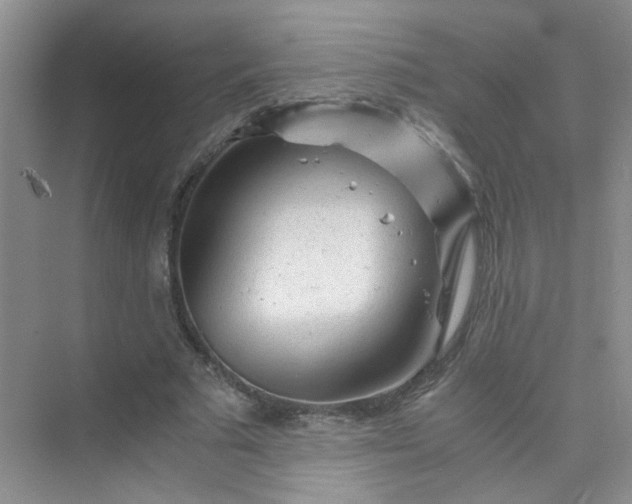 X0000075920681200609291825