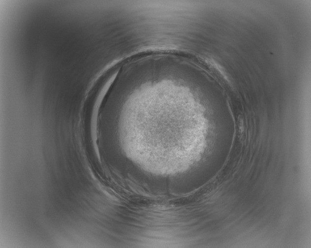 X0000075920684200609291825