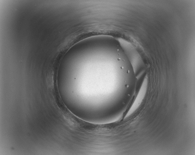 X0000075920685200609291825