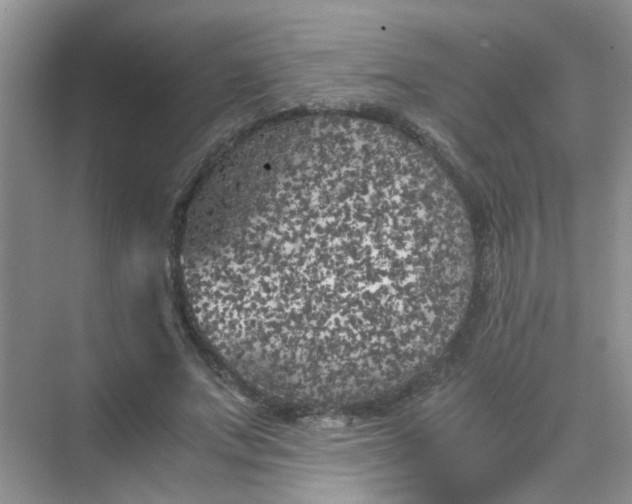 X0000075920687200609291825