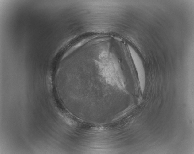 X0000075920688200609291825