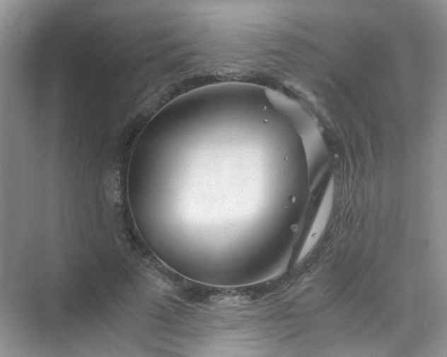 X0000075920689200609291825