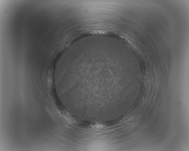 X0000075920695200609291825