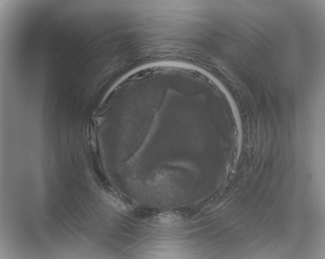 X0000075920696200609291825