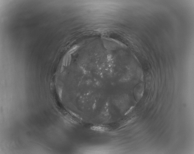 X0000075920699200609291825