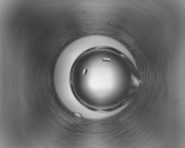 X0000075920700200609291825