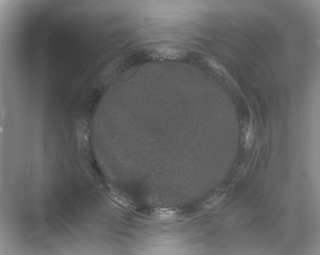 X0000075920701200609291825