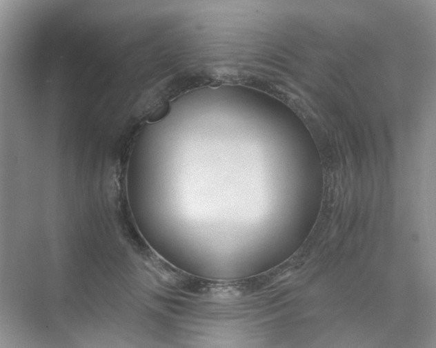 X0000075920702200609291825