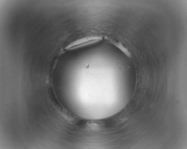 X0000075920706200609291824