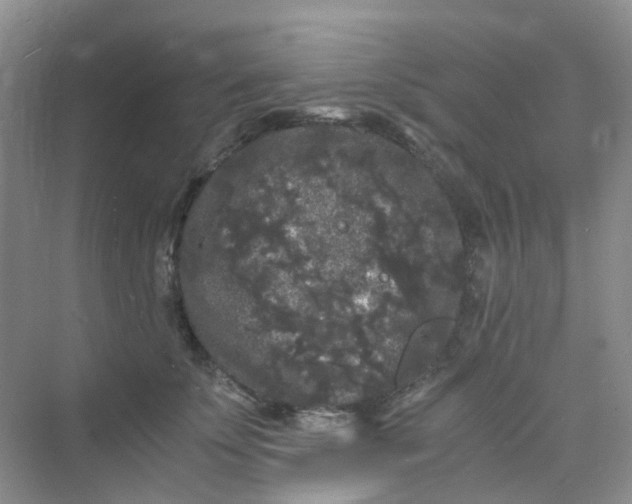 X0000075920707200609291824