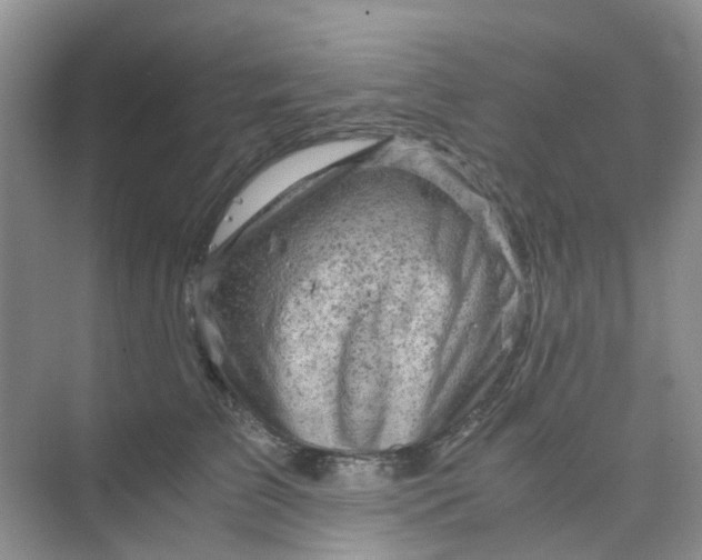 X0000075920709200609291824