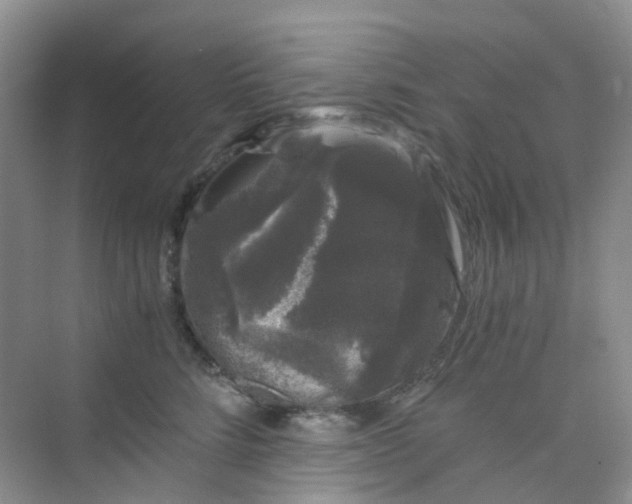 X0000075920712200609291824