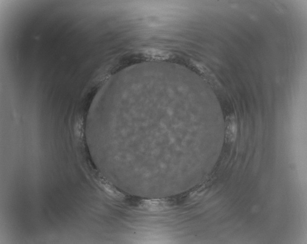 X0000075920713200609291824