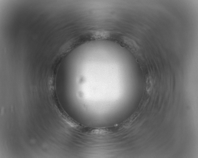 X0000075920714200609291824