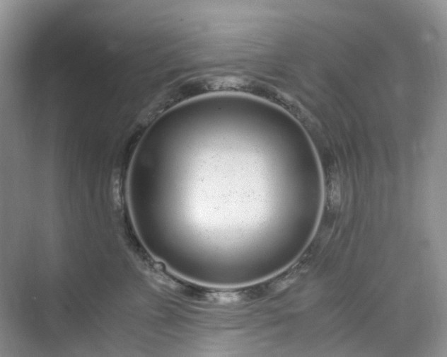 X0000075920715200609291824