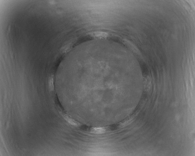 X0000075920717200609291824