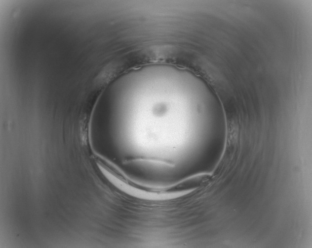 X0000075920719200609291824