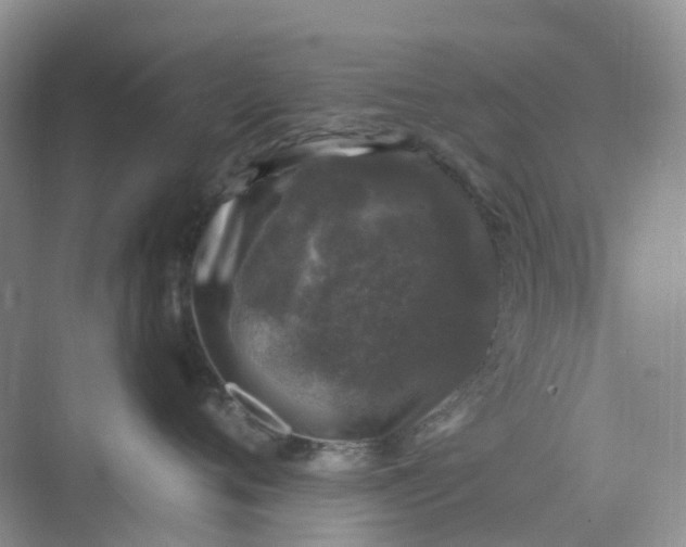 X0000075920720200609291824