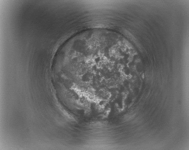 X0000075920721200609291823