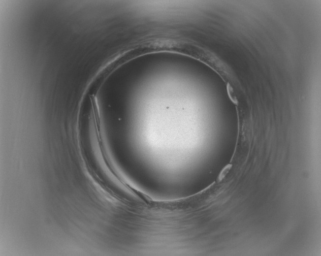 X0000075920722200609291823