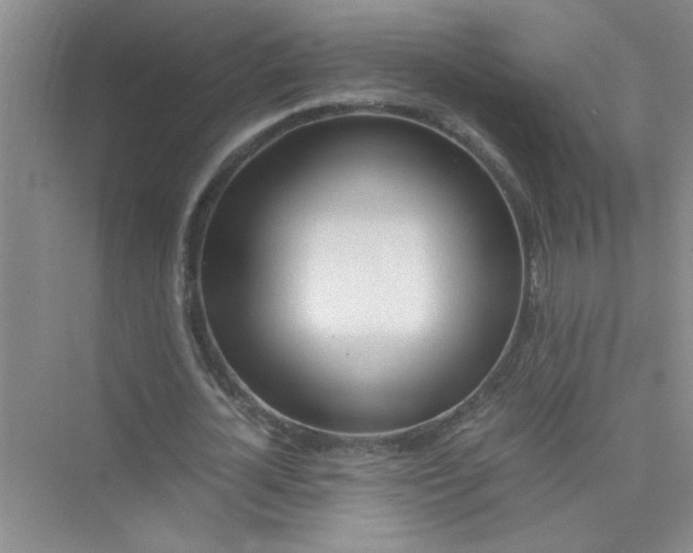 X0000075920724200609291823