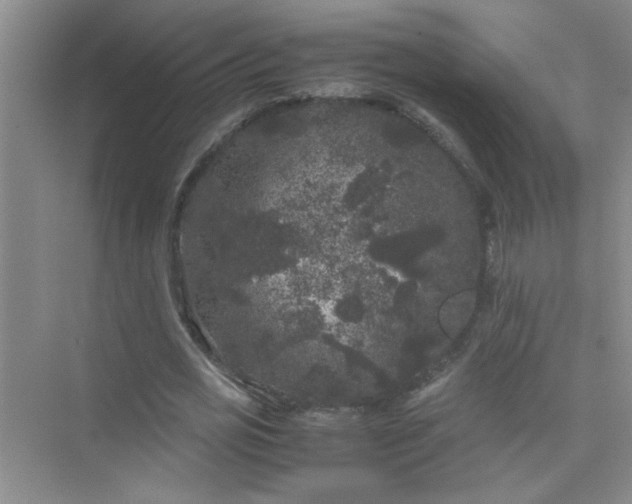 X0000075920725200609291824